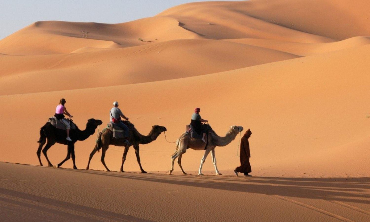 3. Sa mạc Ả Rập: có diện tích 2,3 triệu km2, sa mạc Ả Rập bao phủ Ả Rập Saudi, Oman và một phần của Irac. Những khu vực gần rìa sa mạc hoặc trên các cao nguyên ẩm hơn, đôi khi còn có sương và sương mù. (Nguồn: 24H) 