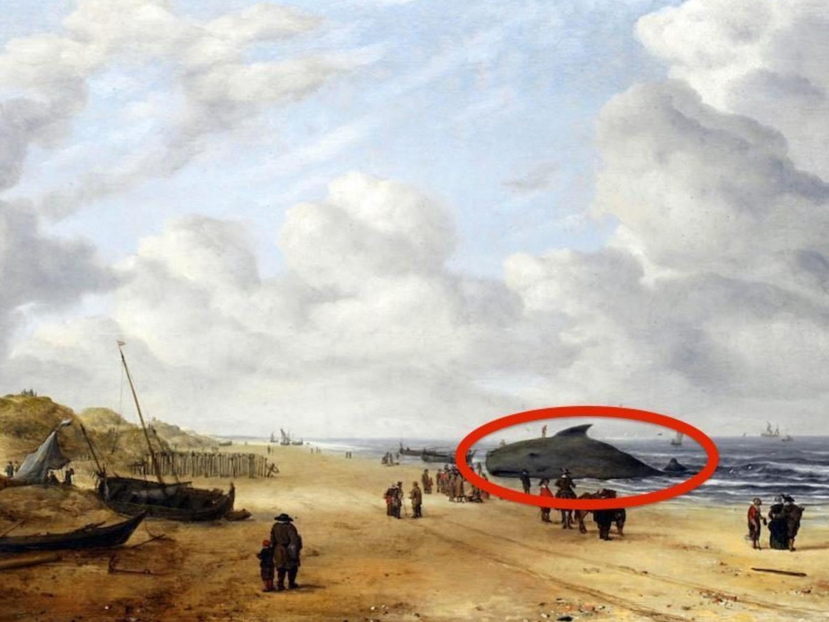 Giải thích việc con cá voi bị giấu đi, theo Shan Kuang - nhà phục chế đã làm việc với bức tranh này, việc vẽ một con vật chết trong tranh bị coi là phản cảm trong khoảng thế kỷ 18 đến đầu thế kỷ 19. (Nguồn: bestlifeonline.com)