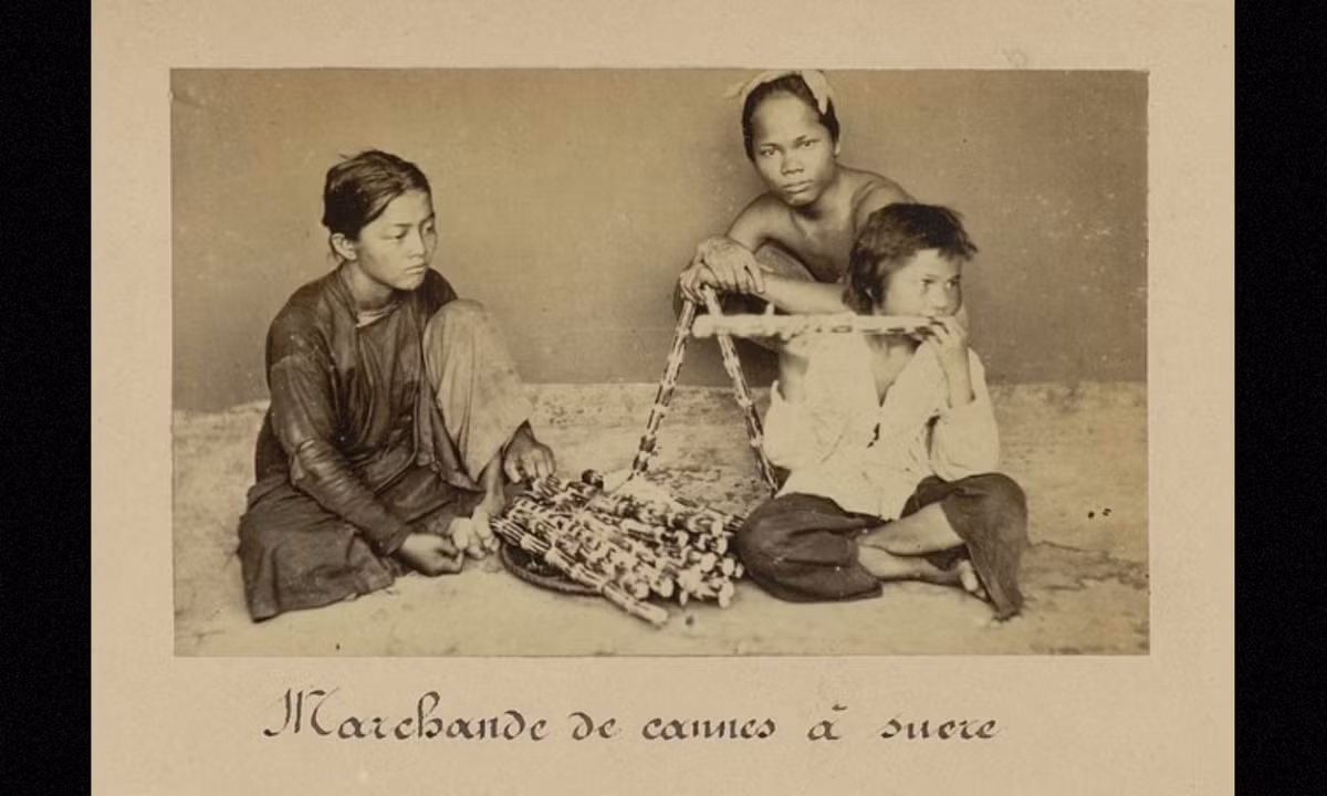 Những đứa trẻ bán mía mưu sinh. (Nguồn: Émile Gsell)