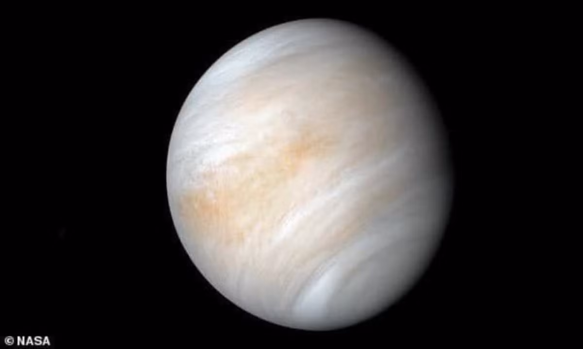 4. Tân Sao Kim (1 triệu đến 3,5 triệu năm sau): hành tinh chúng ta sẽ không kịp hồi phục sau “đòn tấn công tiếp theo từ Mặt Trời”. Trong khoảng 1 tỷ năm tới, Mặt Trời sẽ bắt đầu biến đổi thành một ngôi sao khổng lồ đỏ và toàn bộ sự sống trên Trái Đất sẽ dần dần bị “thiêu rụi”. (Nguồn: TNAOT)