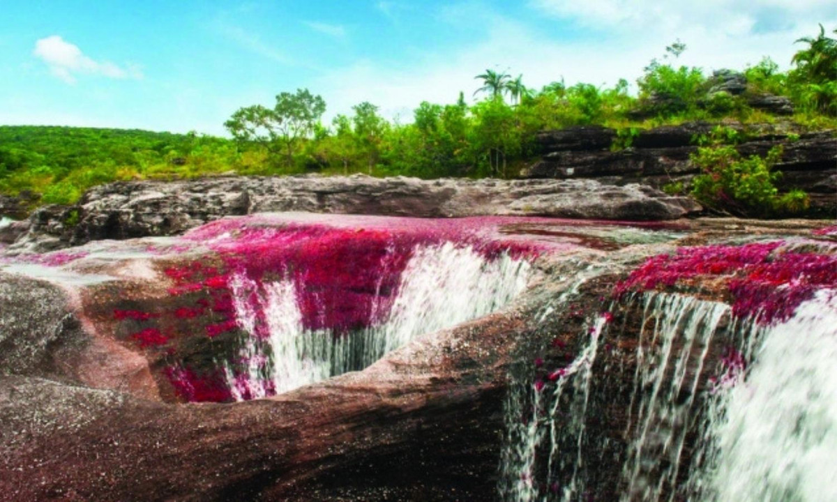 10. Dòng sông 5 màu: vào mỗi mùa hè, dòng sông Cano Cristales tại Colombia lại xuất hiện hiện tượng "dòng sông năm màu". Hiện tượng này có thể quan sát vào khoảng thời gian từ tháng 5. Nguồn: Kênh Thời Tiết.