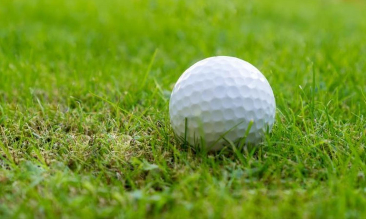 Ngoài các trận mưa động vật dị thường thì thế giới cũng từng chứng kiến một trận mưa bóng gofl rất kỳ lạ. (Nguồn ảnh: Thefrisky) 