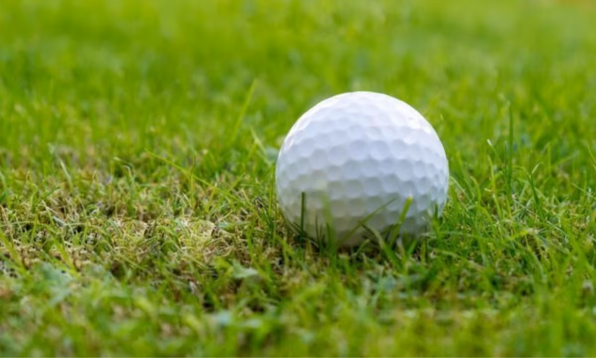 Ngoài các trận mưa động vật dị thường thì thế giới cũng từng chứng kiến một trận mưa bóng gofl rất kỳ lạ. (Nguồn ảnh: Thefrisky) 