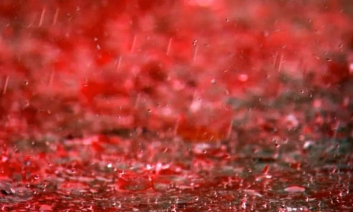 Cơn mưa máu đầu tiên ghi nhận xuất hiện từ thời La Mã cổ đại. Tiếp theo đó, một cơn mưa máu được ghi nhận vào năm 1841 ở bang Tennessee (Hoa Kỳ). Và gần đây nhất, vào năm 2006, một cơn mưa máu cũng đã trút xuống vùng Kerela (Ấn Độ). (Nguồn: Eva) 