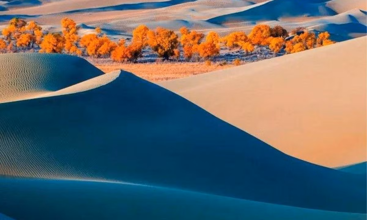 Xưa kia, Lop Nur từng là vùng đất xinh đẹp, giàu sức sống. Tuy nhiên, sự bào mòn của thời gian, cùng sự biến đổi khí hậu khiến lượng nước ngày càng ít đi, chỉ còn lại hoang mạc vắng lặng và những gò yardang khô khốc.