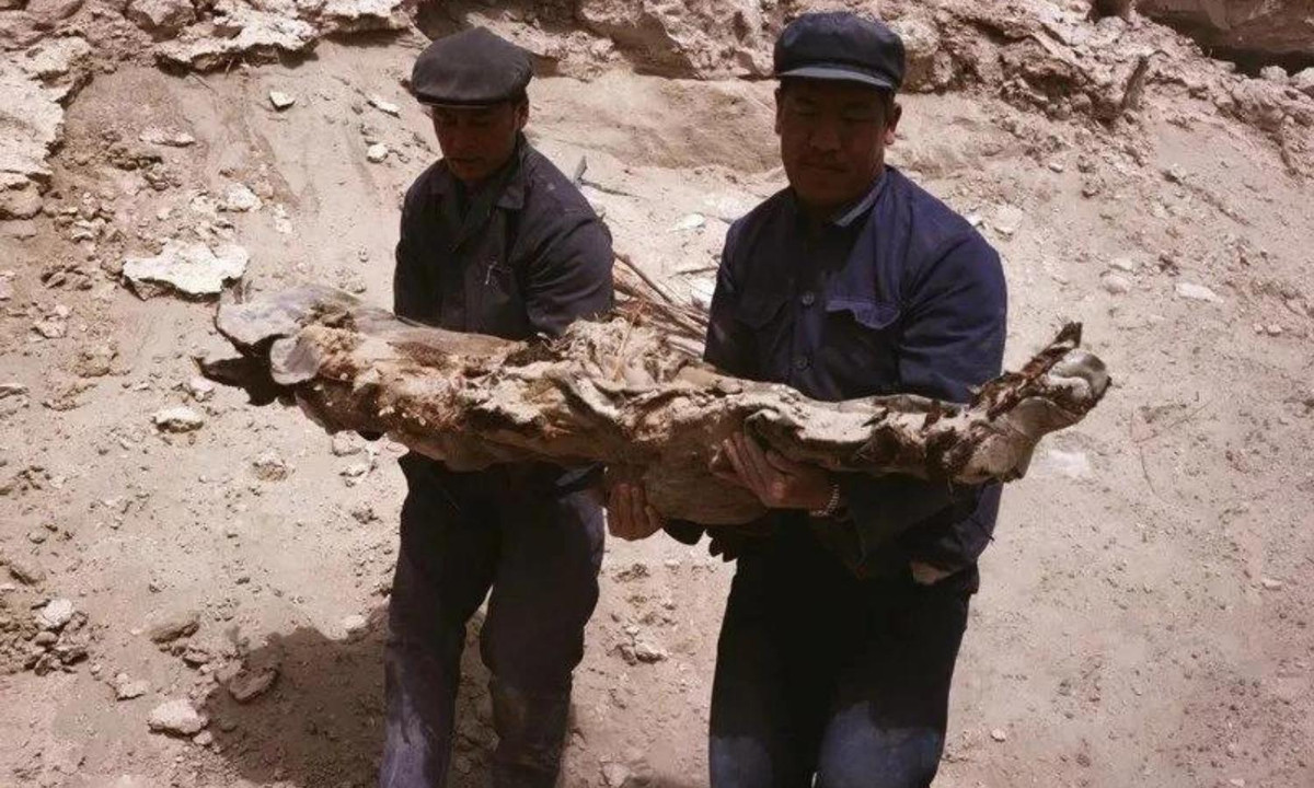 Không ai biết điều gì đã tạo nên hình dạng kỳ lạ này, người ta chỉ biết nơi xuất hiện "tai của Trái Đất" là ở Lop Nur.