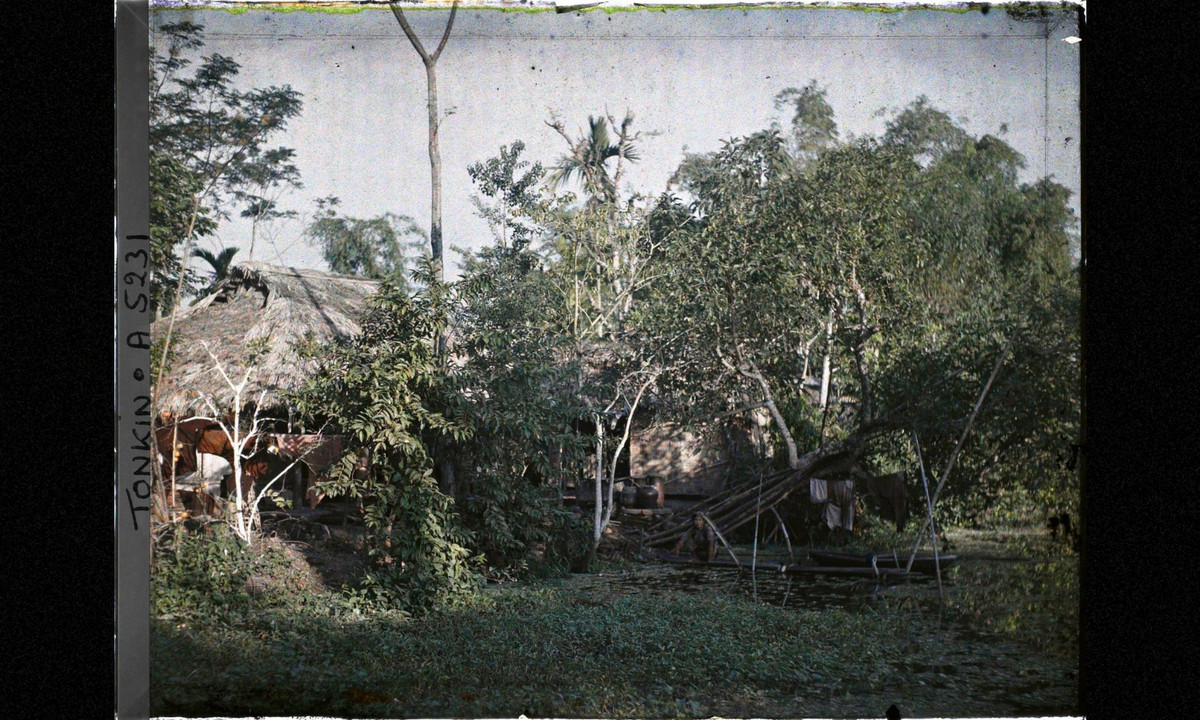 Những đứa trẻ đứng bên ao rau muống. (Nguồn: Léon Busy) 