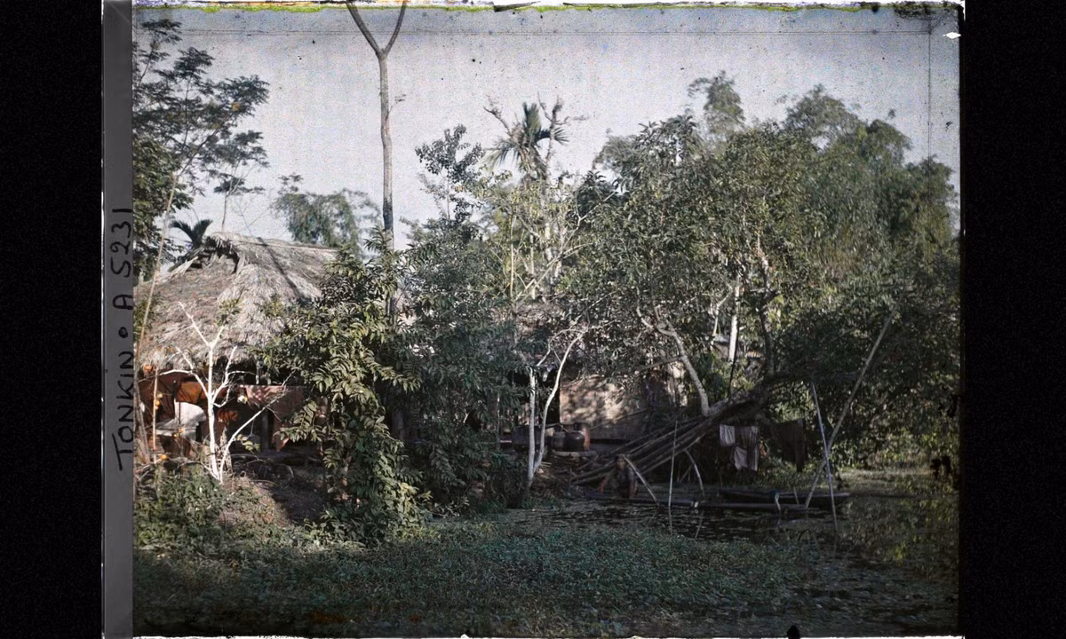 Những đứa trẻ đứng bên ao rau muống. (Nguồn: Léon Busy) 