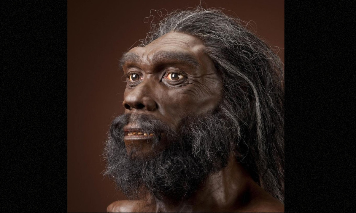 5. Homo rhodesiensis: nguồn gốc của họ chưa rõ ràng, nhưng các bằng chứng cho thấy họ cũng liên quan đến Homo heidellbergensis như chúng ta. Hóa thạch mới nhất của họ khoảng 125.000 tuổi, xuất hiện ở Zambia (Châu Phi). (Nguồn: Smithsonian Institution) 
