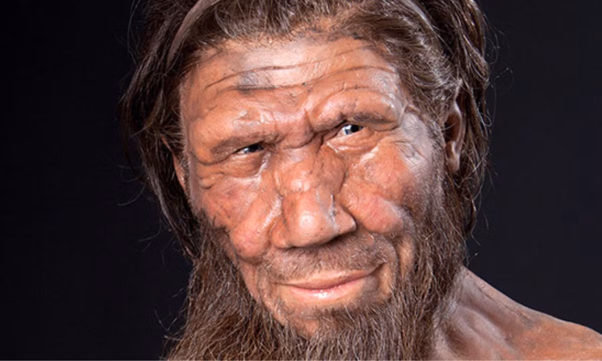 2. Người Neanderthals: loài người này cũng tuyệt chủng khoảng 30.000-50.000 năm về trước, chọn Châu Âu là miền "đất hứa" sau khi rời châu Phi. (Nguồn: Bảo tàng Neanderthals)
