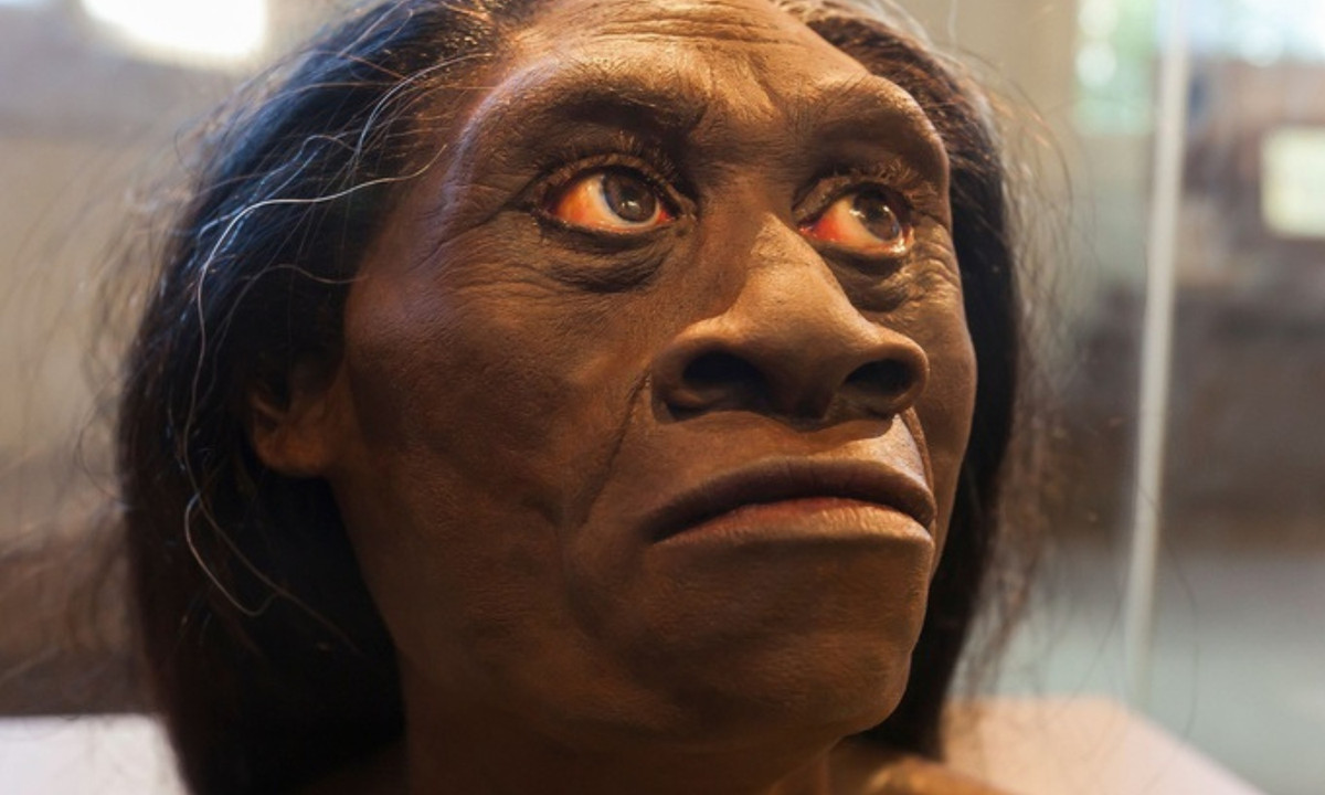 4. Người Hobbit: người lùn Hobbit hoàn toàn có thật, cơ thể họ chỉ cao khoảng 1 m, đã sống và tuyệt chủng tên đảo Flores (Indonesia) khoảng 12.000 năm về trước do thảm họa núi lửa. Họ có tên đầy đủ là Homo floresiensis. (Nguồn: National Geographic)
