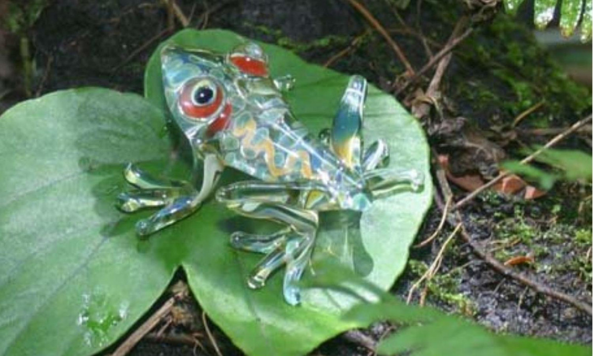 4. Ếch thủy tinh (glass frog) thuộc họ lưỡng cư Centrolenidae, có tên khoa học là Hyalinobatrachium valerioi. Kích thước của ếch thủy tinh không lớn, chúng thường dài từ 3 đến 7,5 cm. (Nguồn: vtc.vn)