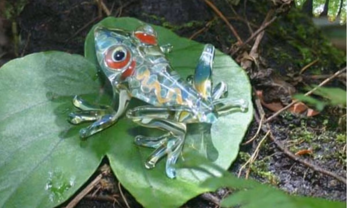 4. Ếch thủy tinh (glass frog) thuộc họ lưỡng cư Centrolenidae, có tên khoa học là Hyalinobatrachium valerioi. Kích thước của ếch thủy tinh không lớn, chúng thường dài từ 3 đến 7,5 cm. (Nguồn: vtc.vn)