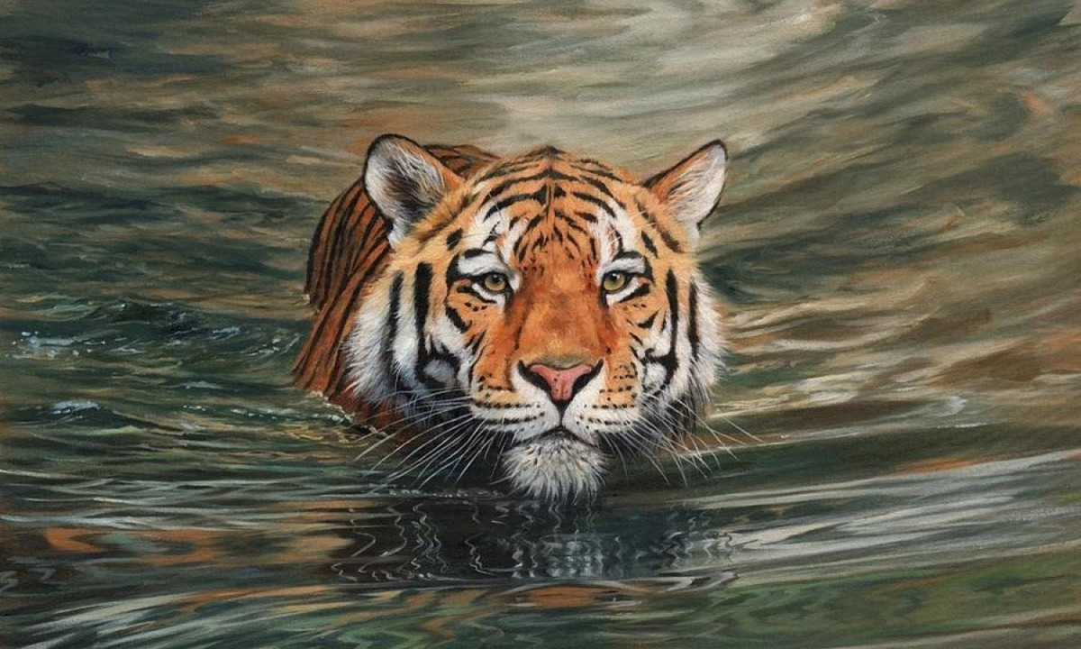 Vì vậy, tốt nhất nên tránh xa lãnh thổ của chúng. Khi rơi vào tình thế gặp phải hổ thì nên bước lùi lại, mắt vẫn không rời con mãnh thú vì hổ có xu hướng tấn công theo kiểu mai phục. (Nguồn: vov.vn) 