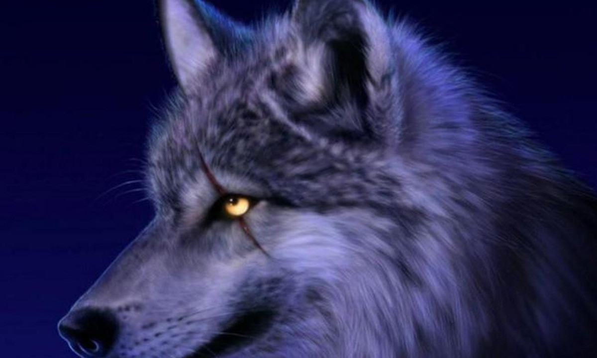 Chúng là những sát thủ thực sự của rừng xanh, những kẻ ăn thịt tồn tại suốt hàng ngàn năm và chẳng bao giờ lo lắng về vấn đề tuyệt chủng. (Nguồn: CafeF)