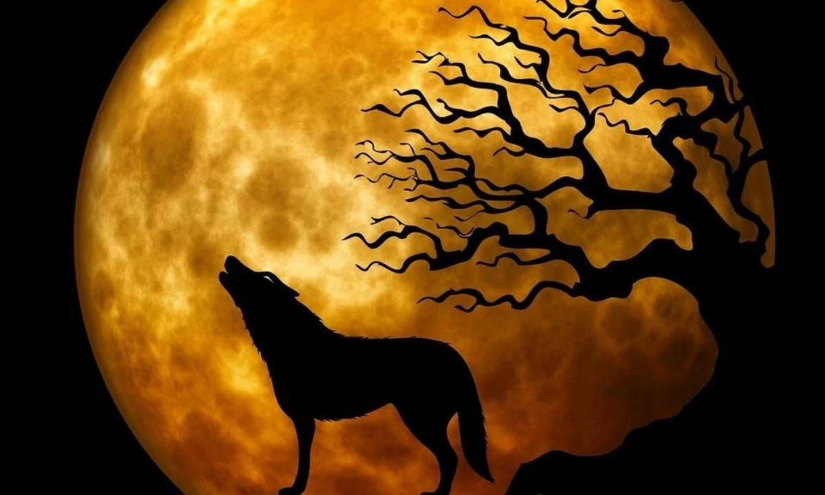 Trong thần thoại Hy Lạp, Roman và Nauy, giữa sói và Mặt trăng luôn có một sự liên quan mật thiết. Thổ dân châu Mỹ thì coi sói là kẻ canh gác Mặt trăng, còn tiếng hú là phương thức để gọi trăng lên vào ban đêm. (Nguồn: Pixapay)