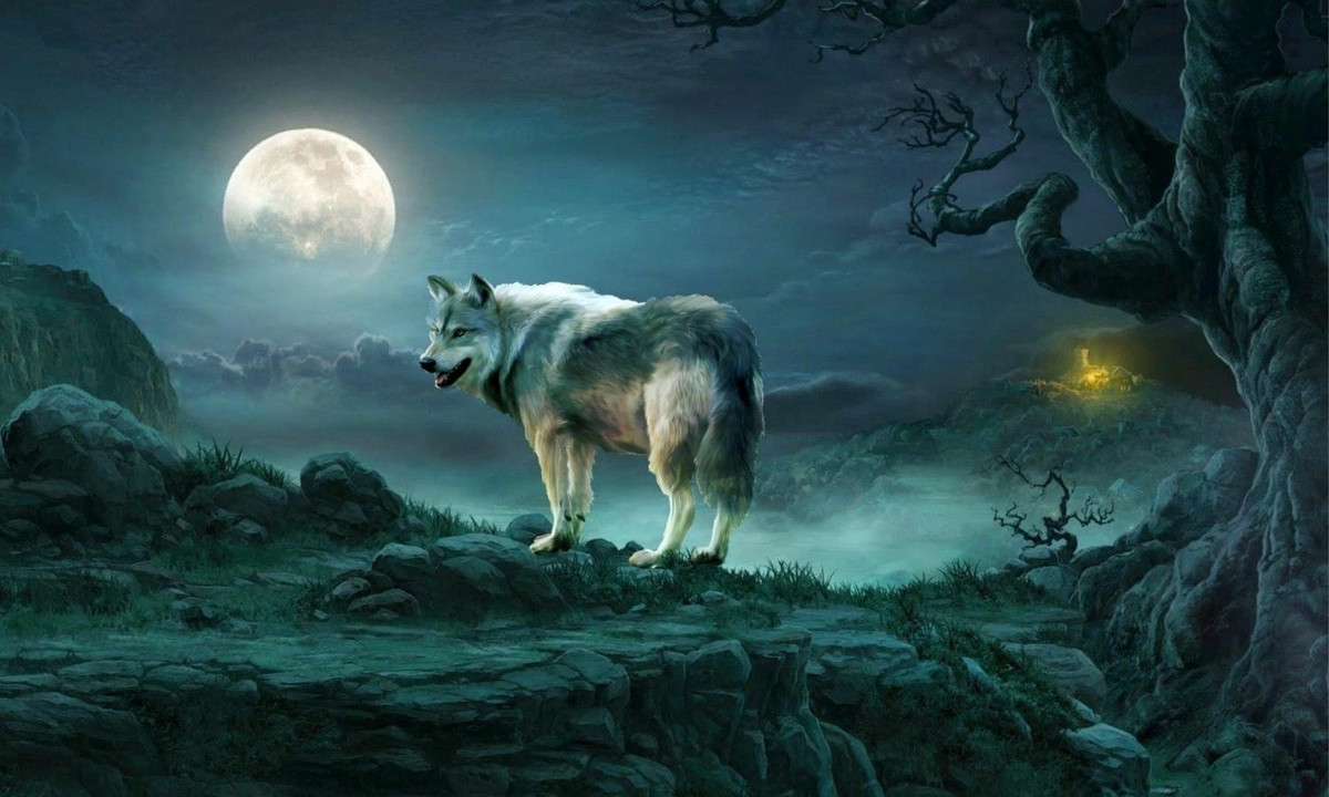 Tiếng sói hú trong đêm làm người ta cảm thấy sởn tóc gáy, thực ra điều đó không phải là để dọa con người, mà là có hàm ý khác. (Nguồn: internet)