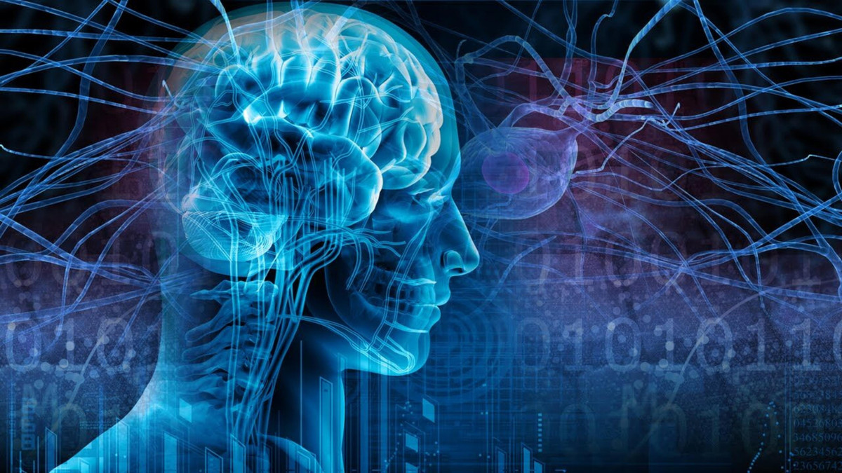 Một giả thuyết nổi bật và khá cơ bản là bộ nhớ của con người không tốt. (Nguồn: alyngan.com)