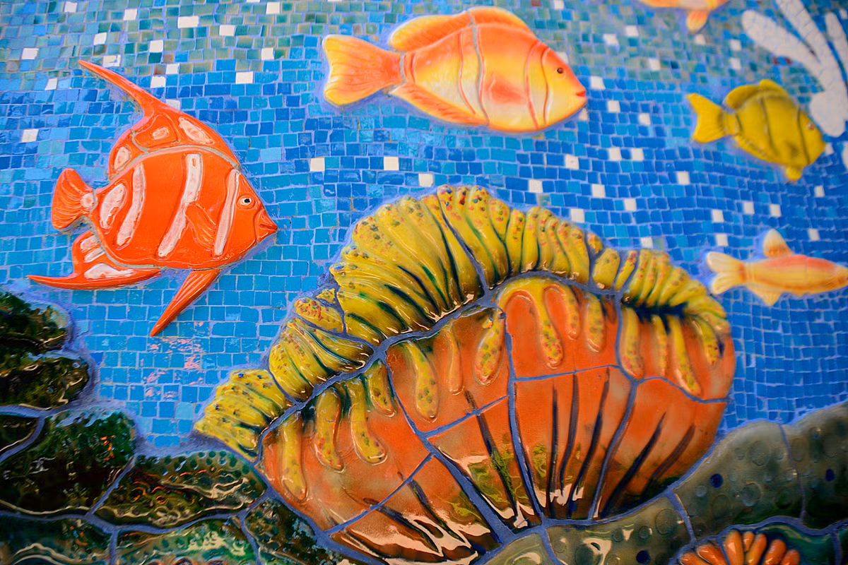 ... với đủ san hô, sò, ốc, sao biển, hải quỳ và các loài cá...