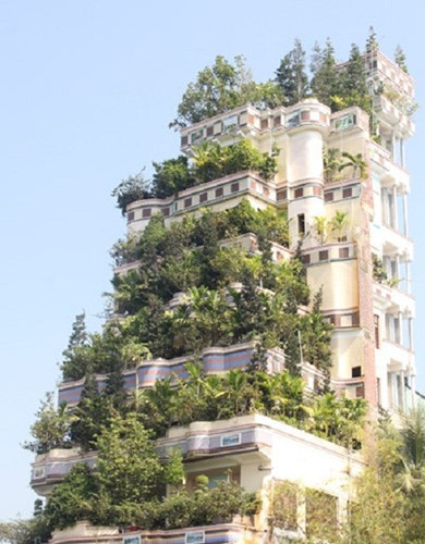  9. Ngôi nhà tựa "vườn treo Babylon" Ngôi nhà đầy cây xanh tựa "vườn treo Babylon" ở huyện Cai Lậy, tỉnh Tiền Giang. Ảnh: Tiền Phong.