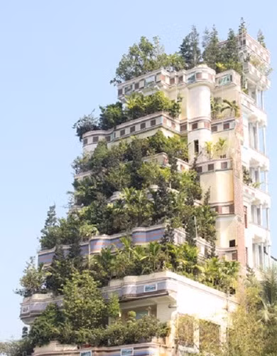  9. Ngôi nhà tựa "vườn treo Babylon" Ngôi nhà đầy cây xanh tựa "vườn treo Babylon" ở huyện Cai Lậy, tỉnh Tiền Giang. Ảnh: Tiền Phong.