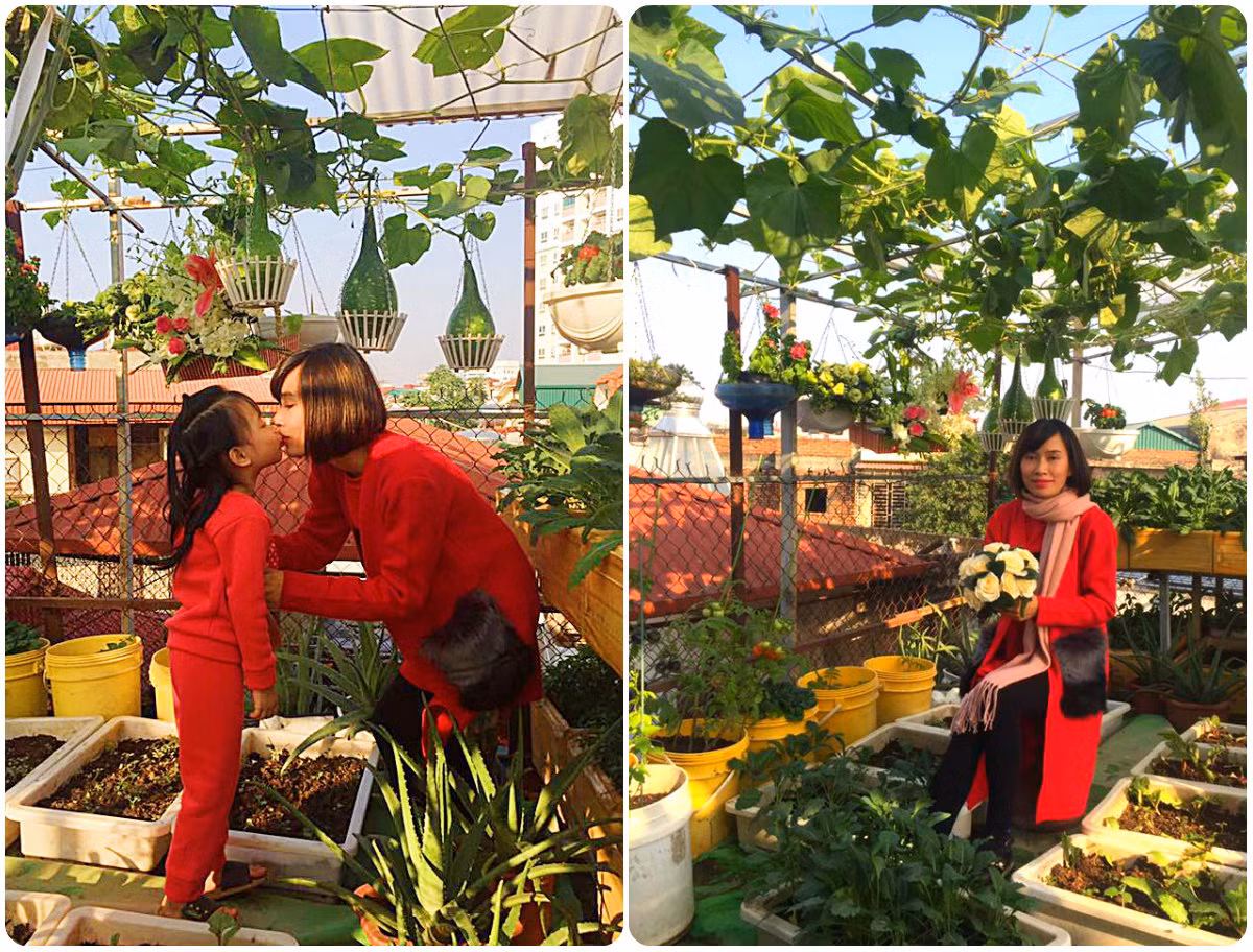 Mẹ con chị Nhung thường lên vườn rau để thư giãn, thu hoạch vào dịp cuối tuần.