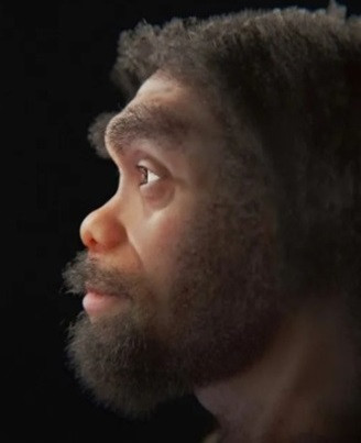 Theo nhóm nghiên cứu, chủ nhân của hộp sọ cổ xưa trên từng sống ở Đông Á vào thời điểm người hiện đại tiếp xúc với một số loài họ hàng gần khác bao gồm người Neanderthal và Denisovan.