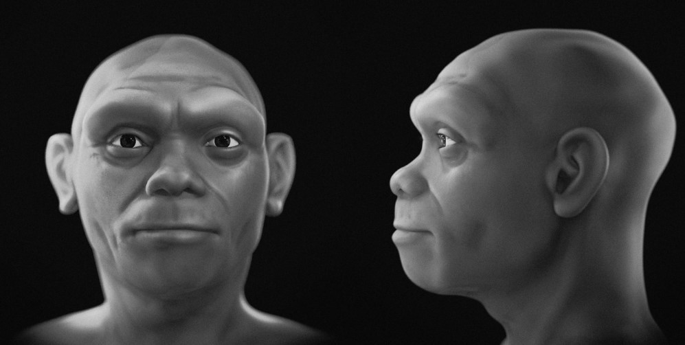 Với kích thước đồ sộ và sở hữu một số đặc điểm gương mặt riêng biệt như hốc mắt vuông vắn, xương gò má dẹt và thấp, hàm răng khổng lồ, thoạt nhìn "Người Rồng" trông khá giống họ hàng xa của 3 loài người là: Homo sapiens, Neanderthal và Denisovan.