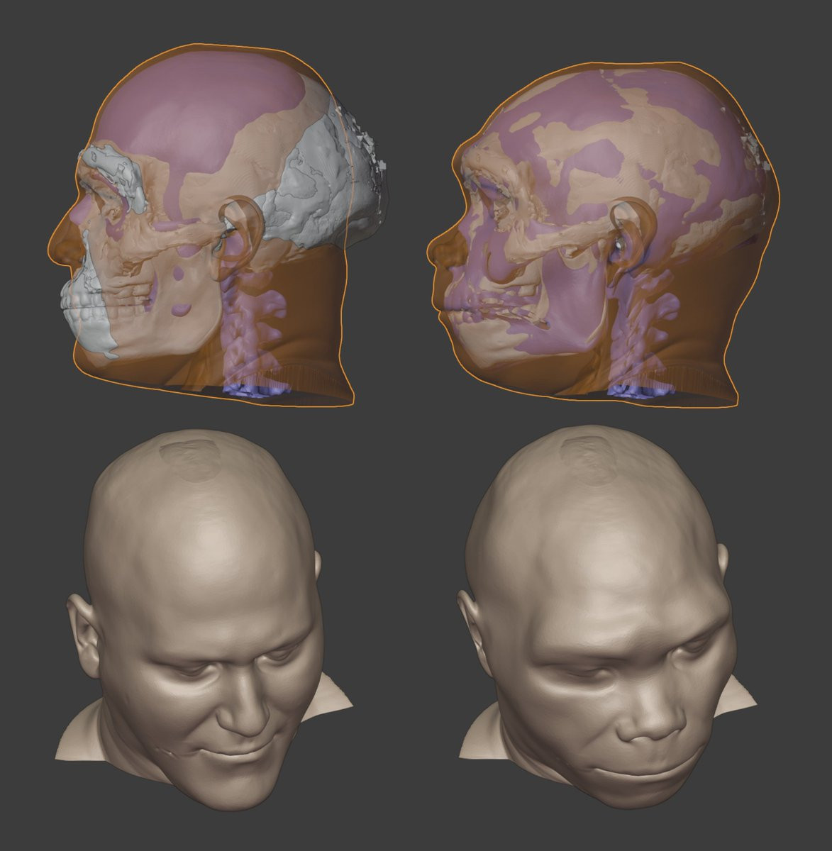 Dù vậy, các nhà nghiên cứu cho rằng, trên thực tế, "Người Rồng" có quan hệ gần gũi với người hiện đại (Homo sapiens) hơn người Neanderthal. Căn cứ vào phân tích hộp sọ có niên đại ít nhất 146.000 năm tuổi trên, chuyên gia đồ họa người Brazil Cícero Moraes đã phục dựng chân dung "Người Rồng" này.
