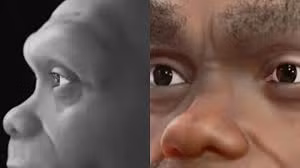 Theo đó, chuyên gia Moraes tạo ra mô hình kỹ thuật số của hộp sọ, sử dụng dữ liệu và ảnh chụp cung cấp bởi các tác giả của nghiên cứu công bố vào năm 2021. Tiếp đến, hộp sọ hoàn chỉnh của một loài người nguyên thủy khác là Homo erectus sau đó được tích hợp vào để lấp đầy những khoảng trống ở hàm răng của "Người Rồng".