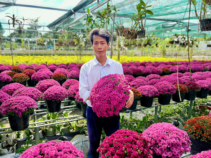 Lang hoa Sa Dec “thay ao moi” don chao du khach-Hinh-2