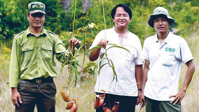 Bên trong lá hình ấm có lông răng. Theo các nhà nghiên cứu, đó là vòng tròn chứa các gai nhỏ hướng xuống dưới và bao quanh lối vào ấm.