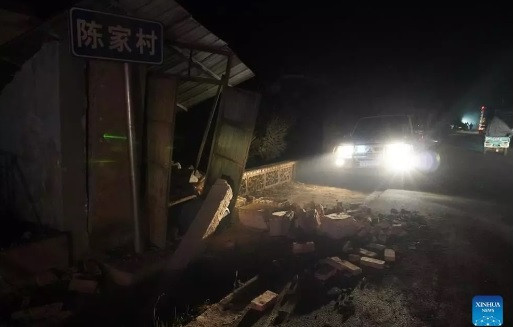 Trước đó, một số nơi ghi nhận vài loài động vật có những hành vi kỳ lạ trong khoảng vài giây cho đến vài tuần trước khi xảy ra động đất. Chúng được cho là cảm nhận được thảm họa thiên nhiên sớm hơn con người.