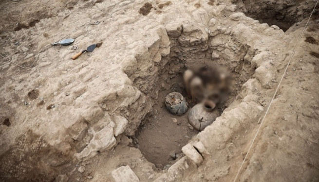 Các nhà nghiên cứu phát hiện một xác ướp còn nguyên tóc thuộc nền văn hóa Ychsma trong đợt khai quật ở di chỉ khảo cổ Huaca Pucllana, Peru vào tháng 9/2023. Nền văn hóa Ychsma phát triển trong khu vực vào khoảng năm 1000 trước khi bị đồng hóa bởi đế quốc Inca vào thế kỷ 15.