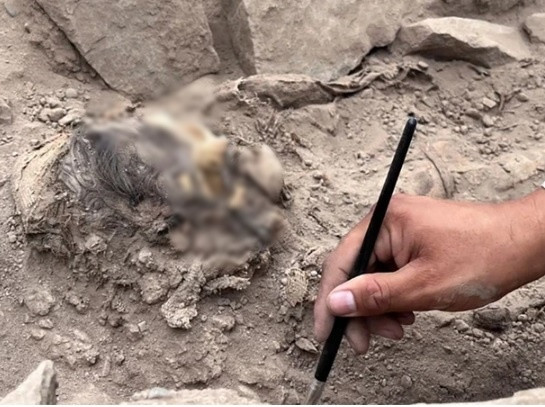 Tháng 6/2023, các nhà khảo cổ học Peru thông tin đã khai quật được một xác ướp khoảng 3.000 năm tuổi ở Lima. Xác ướp còn nguyên tóc và nhiều khả năng thuộc nền văn hóa Manchay phát triển ở các thung lũng của Lima từ năm 1500 trước Công nguyên - 1000 trước Công nguyên.