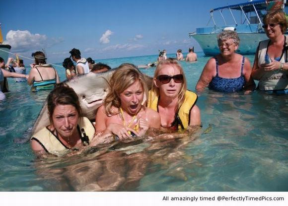  Khoảnh khắc ngẫu nhiên nhưng cực kỳ hoàn hảo chụp lại gương mặt sợ hãi của 3 phụ nữ trong khi con cá đuối với biểu cảm "thích thú, tự mãn".