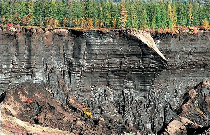 Trong số này, các nhà nghiên cứu tin rằng, việc nghiên cứu "cổng vào thế giới ngầm" Batagay sẽ cung cấp thông tin quan trọng về động vật và thực vật từng sinh sống trong khu vực này vào hàng ngàn năm trước.