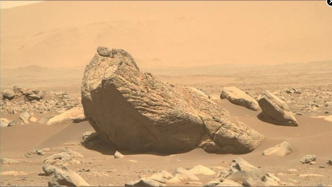 Tàu thăm dò Perseverance của NASA chụp được ảnh một tảng đá trên bề mặt Sao Hỏa có hình dáng khá giống một con hải mã.