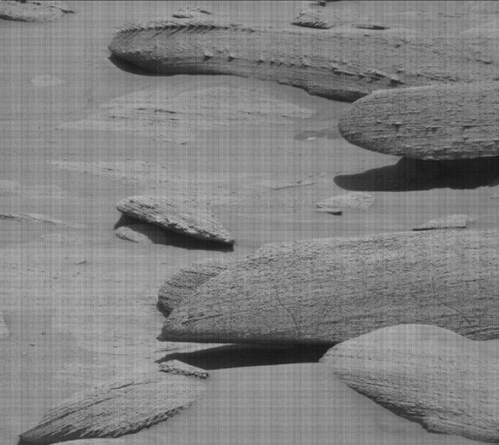 Mới đây, robot tự hành Curiosity Rover thám hiểm miệng núi lửa Gale trên sao Hỏa đã phát hiện và chụp được ảnh một tảng đá kỳ dị trông giống xương hóa thạch động vật. Sau khi xem ảnh, một số người đưa ra giả thuyết đó có thể thực sự thuộc về một loài động vật biển cổ đại. Trong khi đó, Nathalie A. Cabrol, một nhà sinh vật học vũ trụ, cho rằng, gió khắc nghiệt trên Sao Hỏa, kết hợp với dòng chảy mạnh của nước đã khiến tảng đá trông giống một bộ xương hóa thạch.