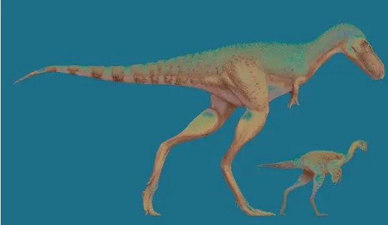 Phat hien bat ngo trong bung khung long bao chua-Hinh-2