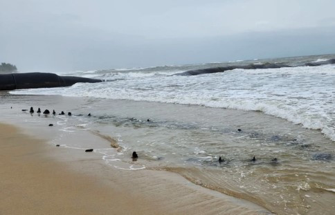 Liên quan đến sự việc này, ông Nguyễn Văn Sơn, Chủ tịch UBND TP. Hội An cho biết, hiện thành phố giao đơn vị chuyên môn xây dựng kế hoạch thám sát, nghiên cứu kết cấu con tàu. Tuy nhiên hiện nay đang mùa mưa nên chưa thể tiến hành ngay. Ảnh: PLO.