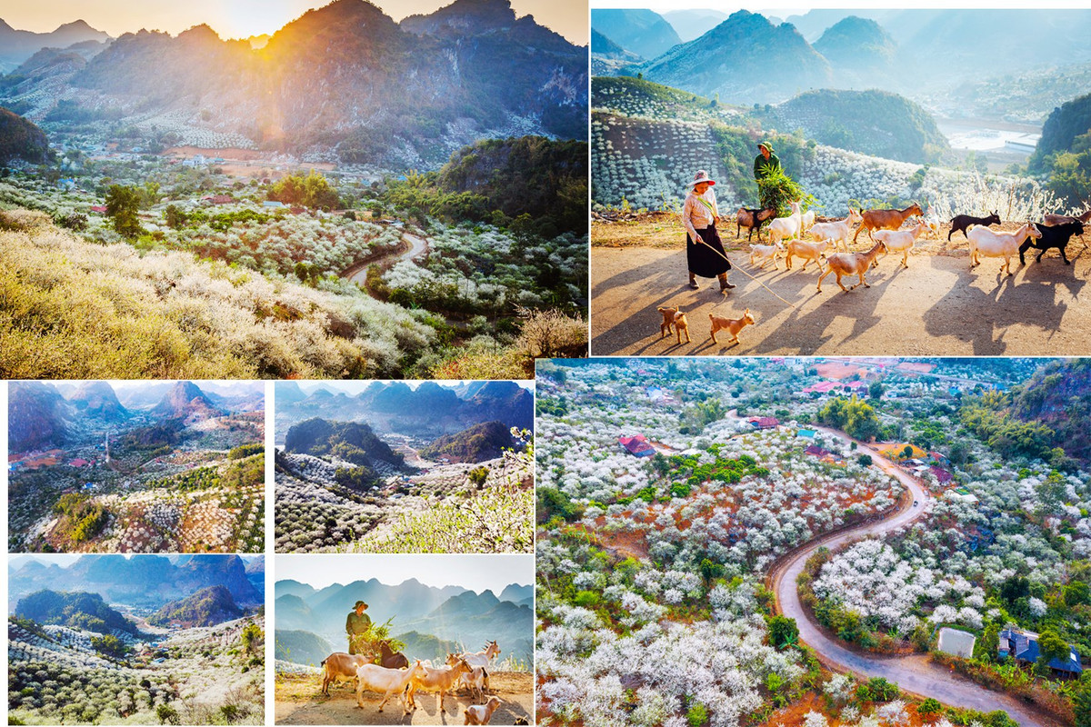 Xem le Tang Cau cua dan toc Thai tai Tuan Van hoa - Du lich Tay Bac-Hinh-5