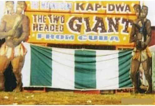 Vì vậy, họ nghi ngờ Kap Dwa cũng có thể là một trò lừa bịp của Barnum và các chủ gánh xiếc khi cố tình lan truyền các câu chuyện kỳ bí, trưng bày xác ướp người khổng lồ 2 đầu để kiếm tiền.