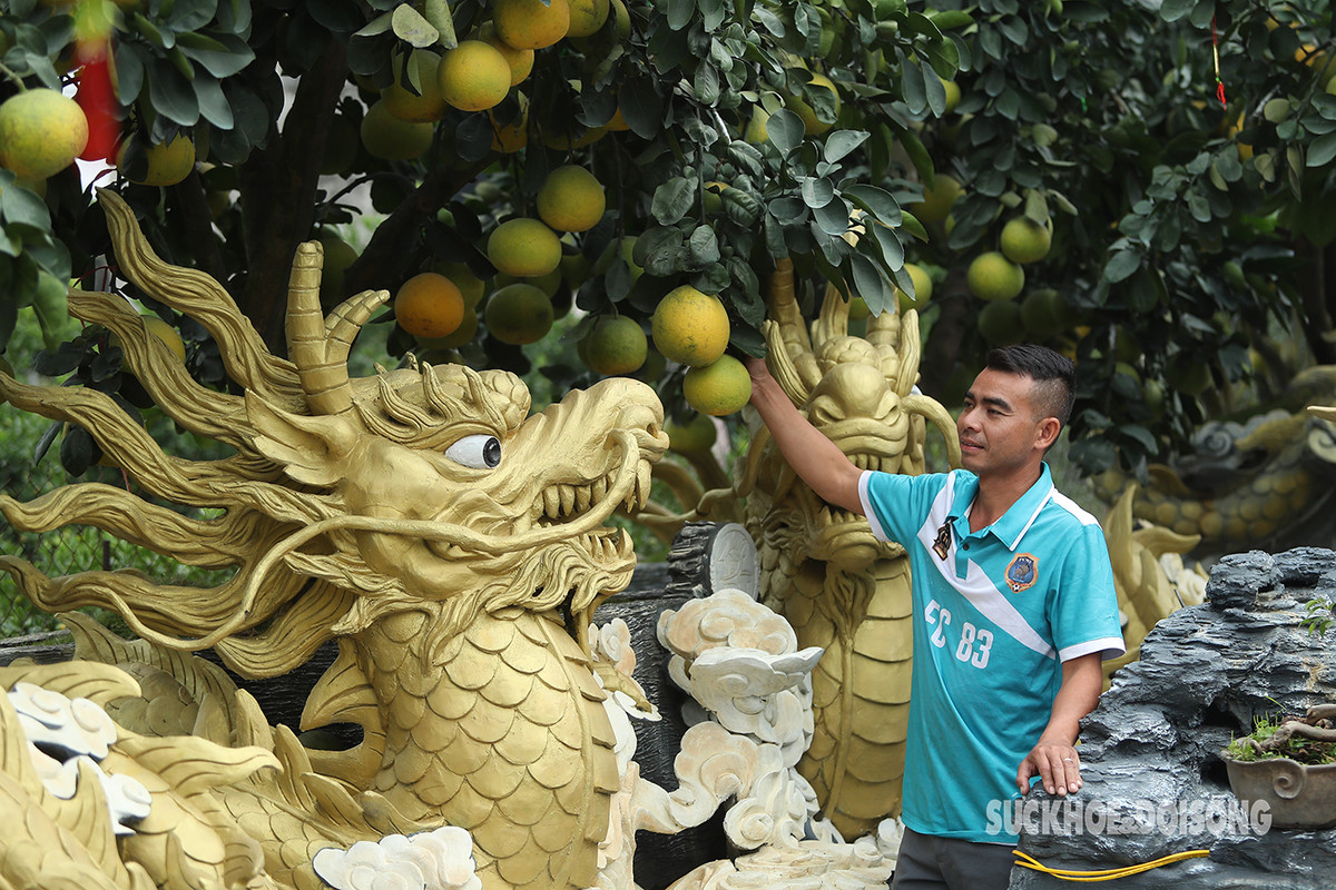 Giá bán từ 50 đến 300 triệu đồng.