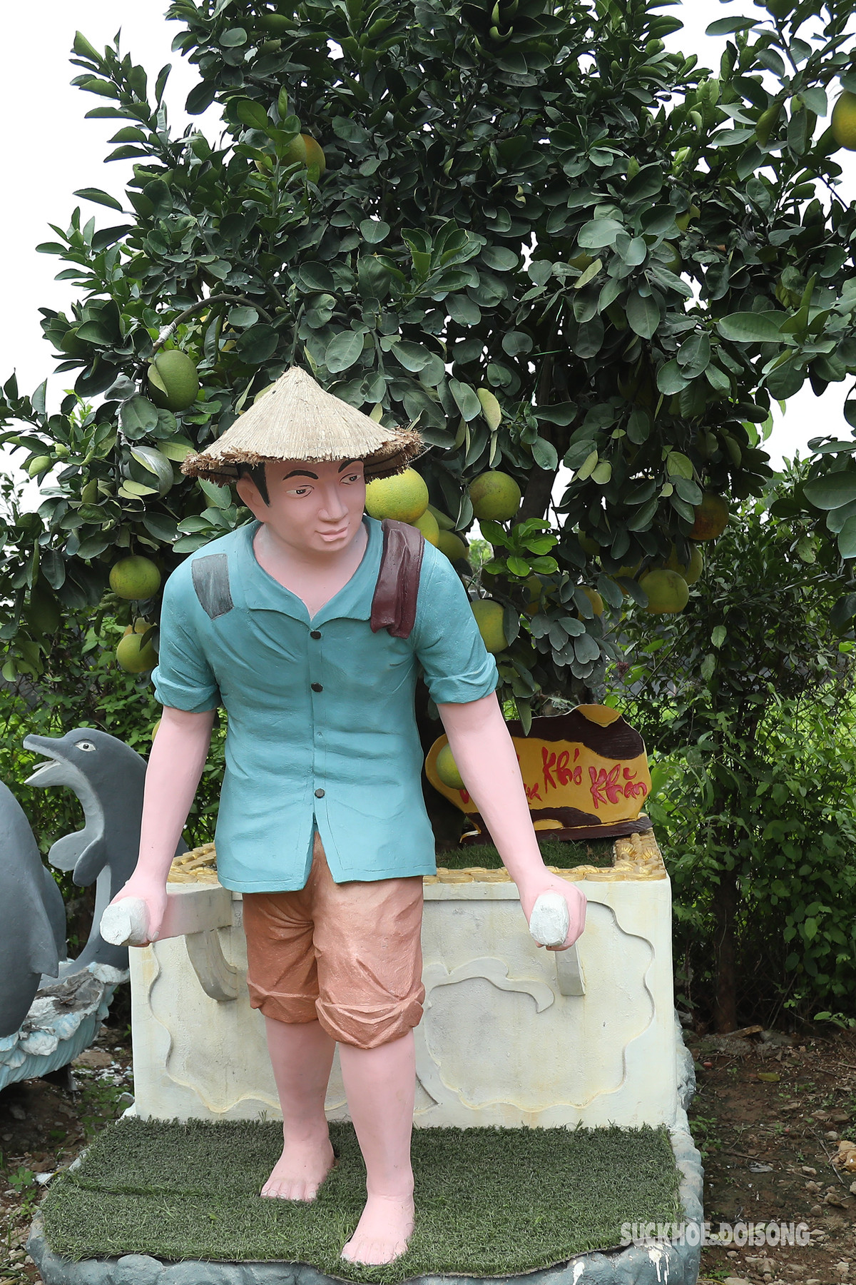 Vào thời điểm này, khắp nhà vườn ở huyện Văn Giang đang tất bật chuẩn bị những công đoạn cuối cho những tác phẩm bưởi cảnh, sẵn sàng phục vụ người dân đón Tết. Hiện nhà vườn đã xuất bán được 6 tác phẩm bưởi cảnh “khủng”, trong đó có 5 cây được bán cho khách tỉnh Cà Mau với giá 650 triệu đồng. Dự kiến nếu bán hết số bưởi cảnh, năm nay gia đình anh Đức sẽ có trên 3 tỷ đồng lợi nhuận và theo tính toán sẽ tăng gấp 3-4 lần năm 2022.