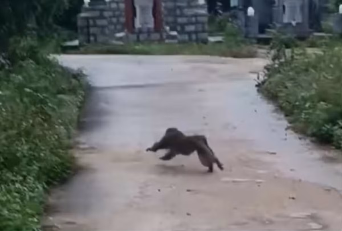 Quang Nam: Khi hung han tan cong lam 3 nguoi bi thuong