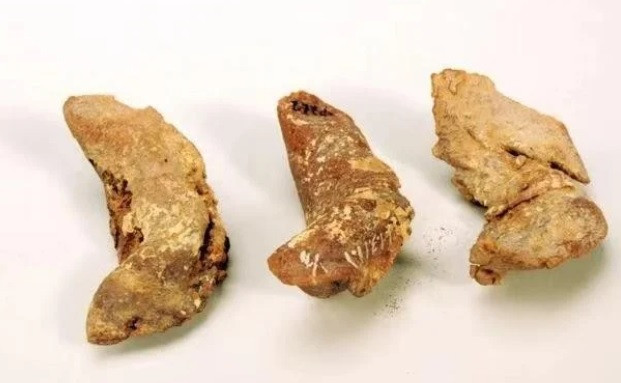 Vào năm 1959, các nhà khảo cổ ở Tân Cương, Trung Quốc đã phát hiện một ngôi mộ cổ ở thành phố Turfan. Theo đó, họ tiến hành cuộc khai quật và có phát hiện quan trọng.