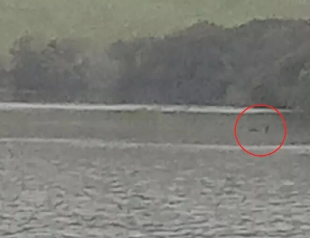 Gần đây, John Howie - một thợ săn quái vật hồ Loch Ness đã chia sẻ một bức ảnh chụp tại hồ Loch Ness và nhanh chóng nhận được sự quan tâm lớn của công chúng.