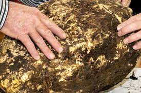 Việc tìm thấy tảng bơ lớn bên dưới đáy đầm lầy được các chuyên gia suy đoán nó có thể là một món đồ tế lễ. Người xưa đã chôn tảng bơ này xuống dưới đáy đầm lầy và không có ý định đào lên sau này.