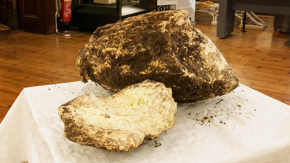 Các nhà nghiên cứu cho biết vào thời xưa, bơ sữa từng là biểu hiện của sự giàu có. Theo đó, chỉ những người thuộc tầng lớp hoàng tộc, quý tộc và thượng lưu mới có thể mua và thưởng thức bơ.